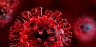 Coronavirus, 33 nuovi casi positivi il Primo Settembre in Asl Roma 6 coronavirus