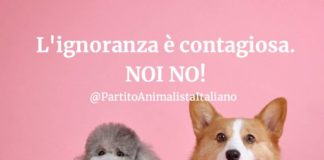 Partito Animalista, “Basta utilizzare gli animali per alimentare le fake news” campagna_stampa_partito_animalista