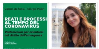 Coronavirus, il libro di De Gioia e Papiri reati_processi_tempo_coronavirus