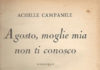 La confessione semiseria di Achille Campanile campanile