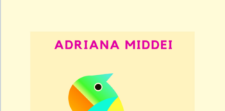 Spesa solidale ad Ariccia e Frascati sabato 30 maggio cover