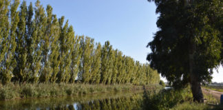 Italia Nostra Latina: “Da parte nostra osservata speciale la tutela della costa da Torre Astura al Circeo” fiume_astura