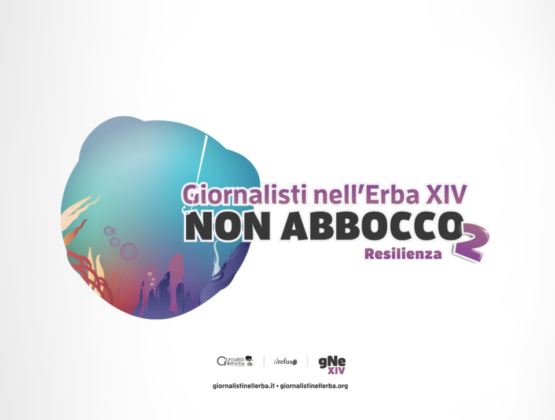 gne2020_senza_pesciolino