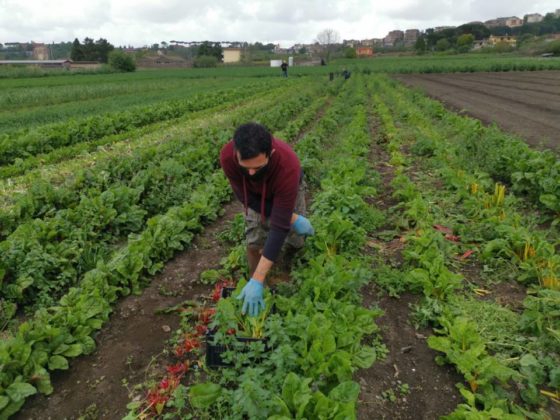 solidarieta_frascati