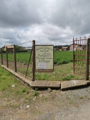 solidarieta_frascati