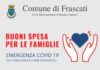 Buoni spesa Frascati, che cosa sono e come richiederli infografica_buoni_spesa_frascati