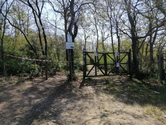 controlli_polizia_,metropolitana