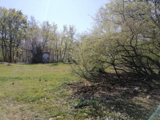 controlli_polizia_,metropolitana