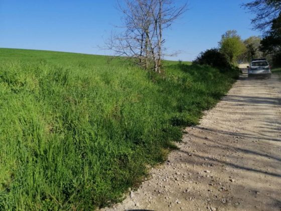 controlli_polizia_,metropolitana