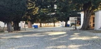 Effettuata pulizia straordinaria nel Cimitero di Frascati cimitero_frascati