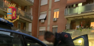 Cerveteri, nipote regala cane alla nonna cane_anziana_signora