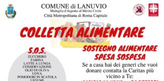 Al via a Lanuvio la Colletta alimentare colletta_alimentare_lanuvio