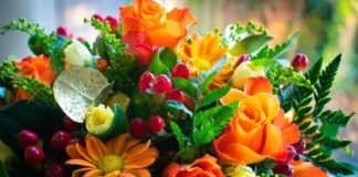 Italia Viva Andreassi e Piazzoni “Inaccettabili le multe a vivai e floricoltori” fiori