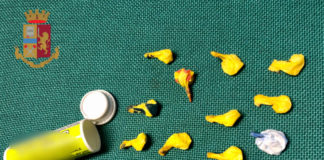 5 persone arrestate a Roma per spaccio droga_romanina