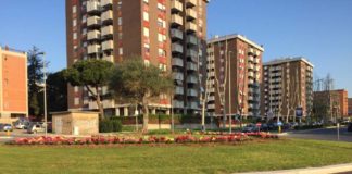 Ambiente, in corso interventi manutenzione a Pomezia piante