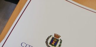 Adotta un’aiuola, pubblicato l’avviso pubblico a Pomezia pomezia