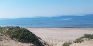 Creme solari: filtri fisici o filtri chimici? Breve guida con consigli per la scelta spiaggia