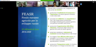 Formazione a distanza al Parco Castelli formazione_distanza_parco_castelli_progettazione_europea