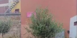 Cambiamo “Intervenire su verde Piazza Sciotti a Santa Maria delle Mole” verde_piazza_sciotti_santa_maria_mole