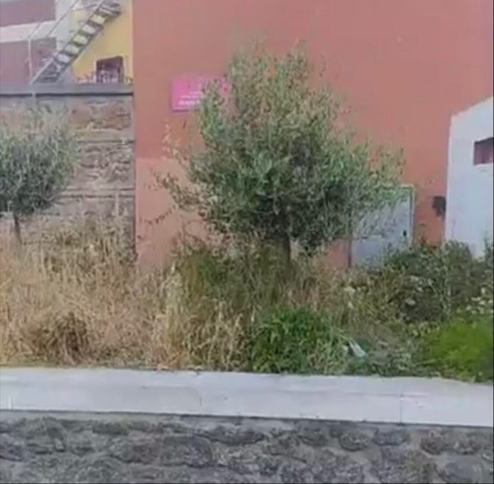 verde_piazza_sciotti_santa_maria_mole