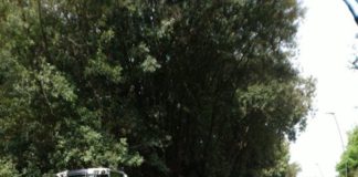 Frascati, iniziati i lavori di sostituzione di 1 km di rete idrica lavori_frascati