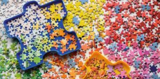 Cuccioletta “Ordine del giorno condiviso sulla disabilità” disabilita