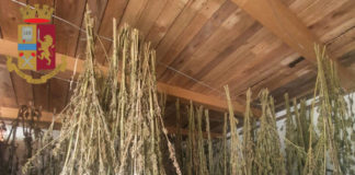 Civitavecchia, denunciati per spaccio dalla Polizia civitavecchia