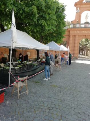 mercato_terra_frascati