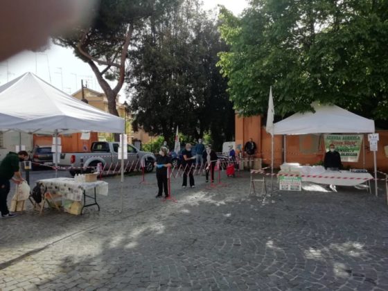 mercato_terra_frascati