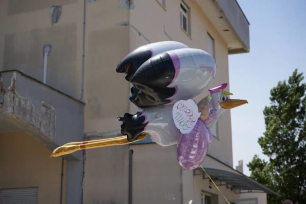 flash_mob_drive_in_24_05