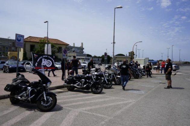 flash_mob_drive_in_24_05