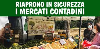 Riaprono i Mercati Contadini di Roma e Marino riapertura_mercati_contadini_roma