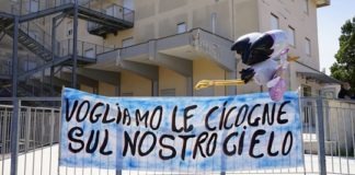 Comunisti “un solo nuovo caso e 20 guariti” cicogne