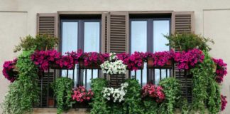 Frascati, arriva il concorso Ventimila Fiori sui Balconi fiori_balcone