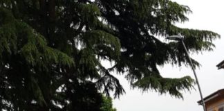 Frascati, rifatto il manto stradale dell’anello urbano lavori_pubblici_frascati