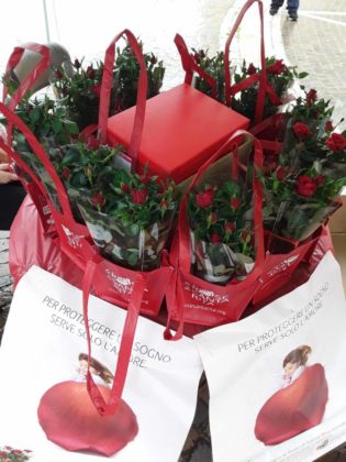 le_rose_di_santa_rita