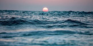 Califano “Spiagge, oltre 500mila Euro per Pomezia, Anzio e Nettuno” mare