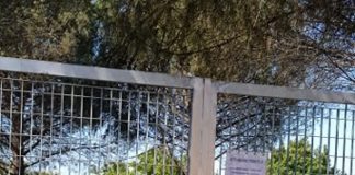 Rocca e Zamparelli ancora su Parco Tor de Cenci parco_tor_de_cenci