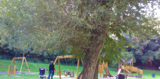 Ritrovato bimbo in bici a Villa Pamphili villa_pamphili