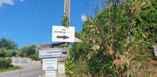 Residenti di via Olivella e via del Cancello avviano petizione al Comune di Albano via_olivella_via_del_cancello