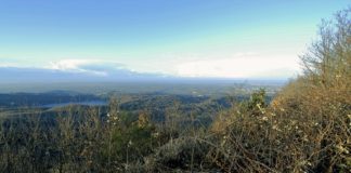 I Guardiaparco soccorrono un ciclista a Monte Cavo monte cavo_foto_paolo_gherardi