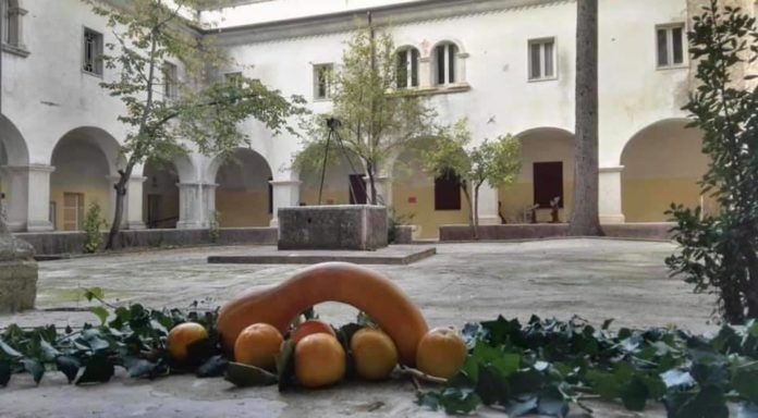 convento_san_francesco_roccasecca