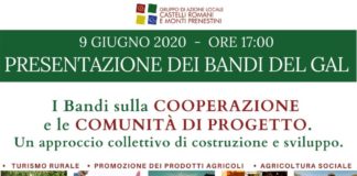 Gal Castelli, web live conferenze per presentare 3 bandi cooperazione il 9 giugno locandina