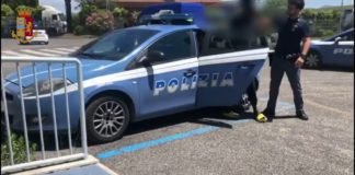 Nettuno, rapinato giovane italiano venerdì 4 settembre arresto_polizia