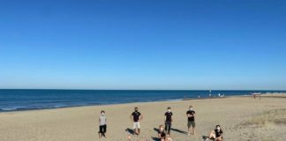 Tartaruga Caretta Caretta depone 90 uova sulla spiaggia di Torvaianica tartaruga