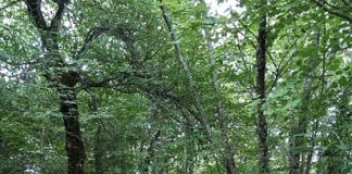 Cose Mai Viste: visite guidate, appuntamenti, attività dal 20 al 21 giugno parco