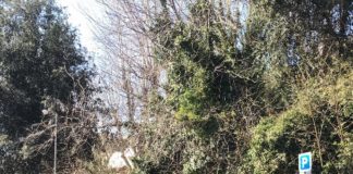 Abusava della figlia minorenne, condannato militare di Anzio