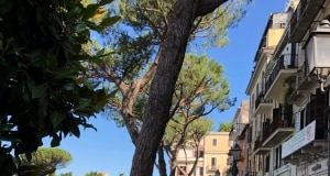 M5S Albano “Piazza Mazzini: de gustibus non disputandum” piazza_mazzini_albano