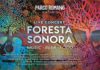 Foresta Sonora, nuovo progetto musicale al via da venerdì 24 luglio foresta_sonora