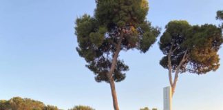 Bluegreen Sporting Club al Derby Italiano di Galoppo all’ippodromo di Capannelle derby_galoppo